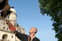 11e Itinérance médiévale à Eymet dimanche 7 août - Photo : Spectacle de fauconnerie Les géants du cie par la Cie Vol au Vent