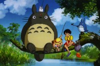 Mon voisin Totoro de Miyazaki, projeté en plein air dans le cadre du 4e Festival de l'Arbre  