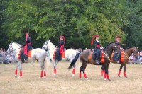 17e fête du cheval de Saint-Astier samedi 31 août et dimanche 1 septembre, plaine de la Serve